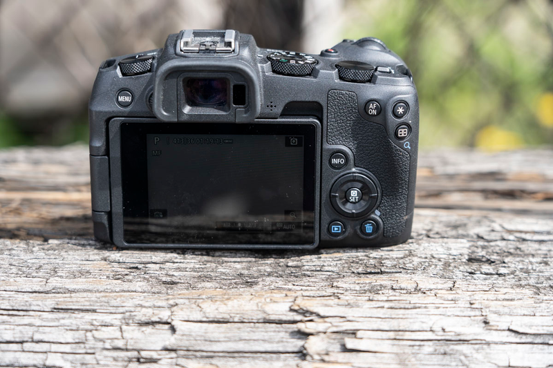 Illustration for article titled I Pitted Canon's 'Affordable' EOS RP Against My Beloved Sony A7 III